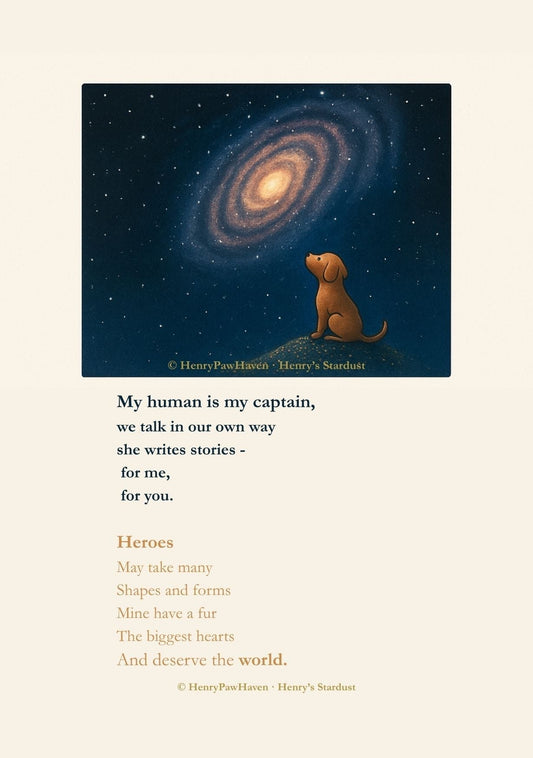 Heroes come in Shapes and Forms