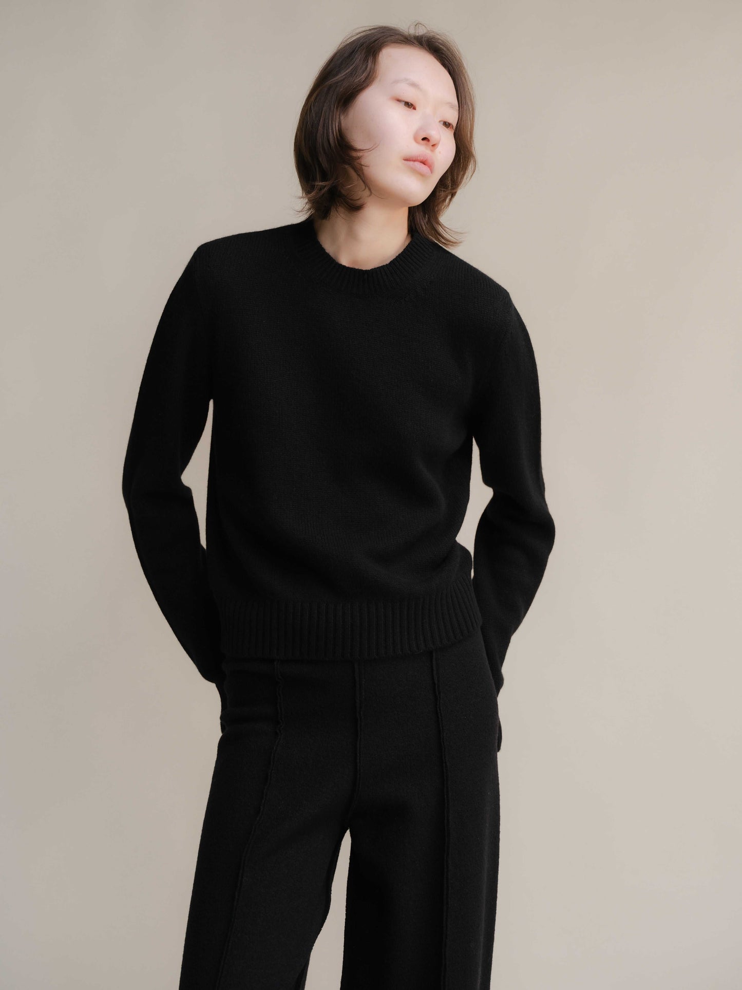 Classic black Pure Cashmere Crewneck Sweater with ribbed details. Elegant Italian-crafted knitwear by Lèmme for HenryPawHaven.