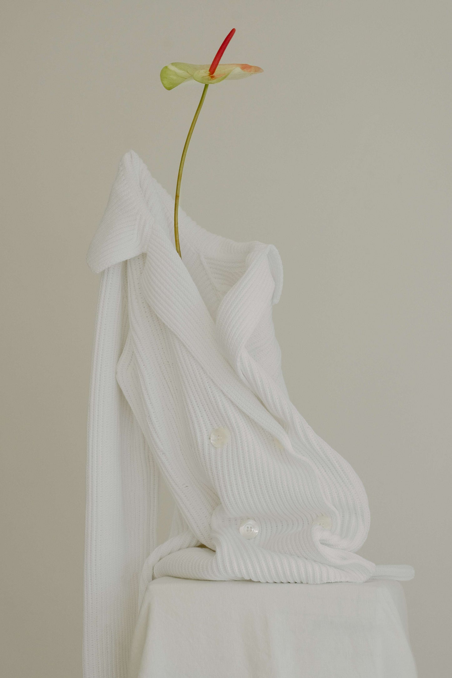 White Fine Cotton Double Breasted Knit Jacket draped artistically with a flower, showcasing ribbed texture and elegant tailoring. Crafted by Lèmme for HenryPawHaven.