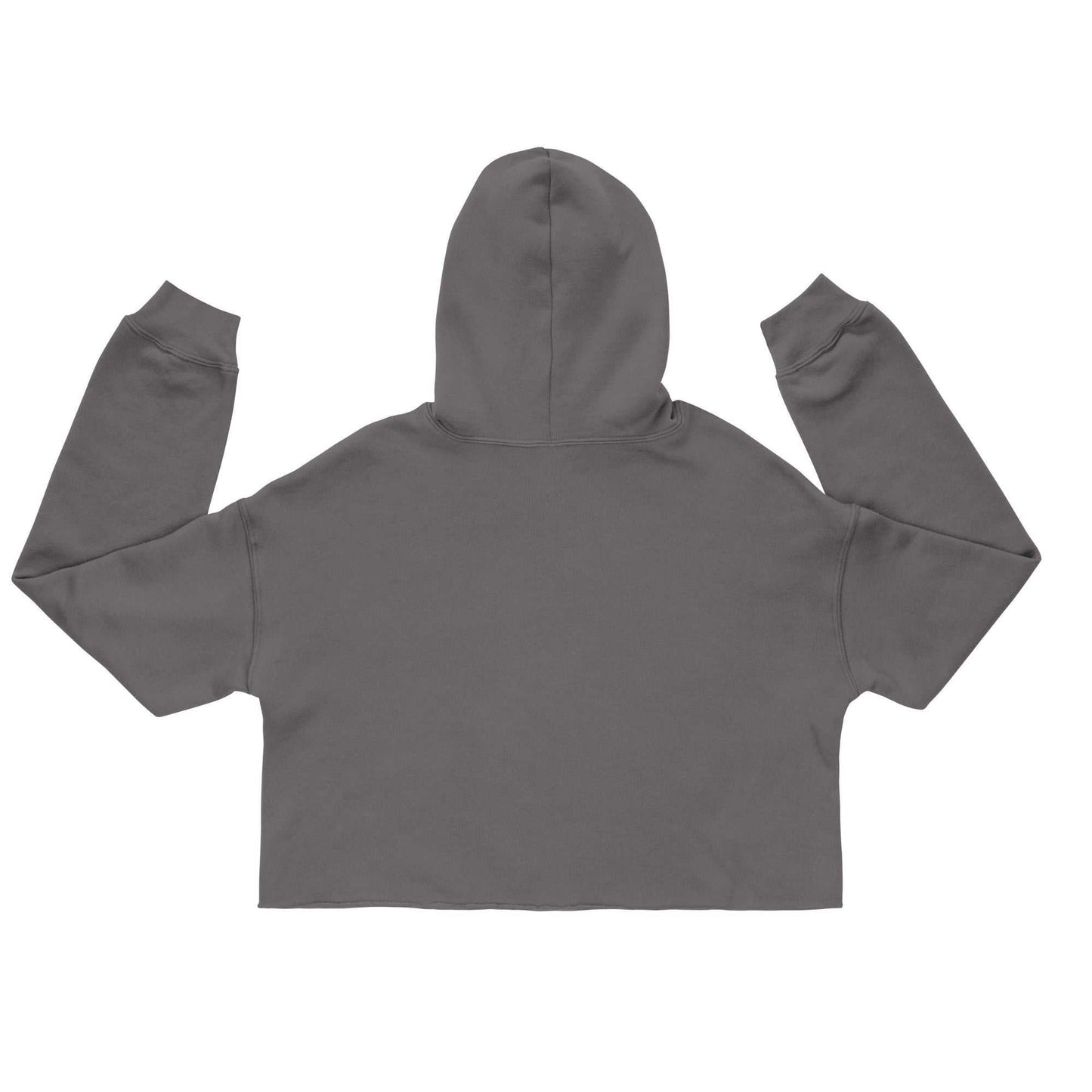 Back view of charcoal gray Love Nature Organic Cropped Hoodie. Eco-conscious cropped design with hood and long sleeves.